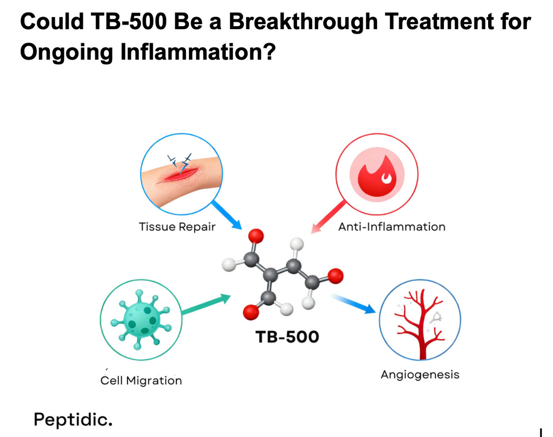 Illustration showing TB-500 peptide promoting tissue repair, anti-inflammation, cell migration, and angiogenesis benefits. The