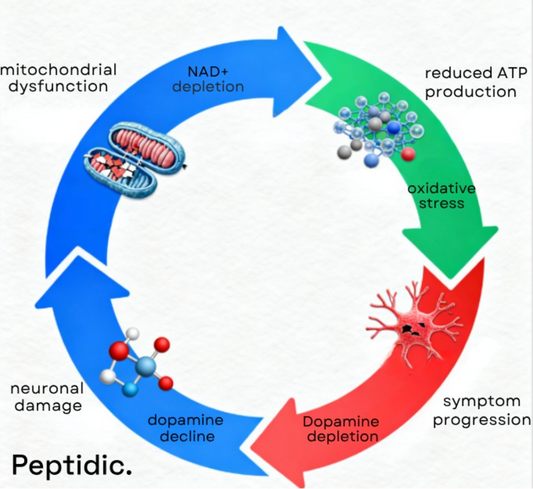 How Does NAD+ Deficiency Affect the Progression of Parkinson’s Disease?