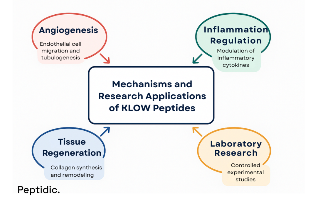 Diagram illustrating KLOW peptides’ roles in angiogenesis, inflammation regulation, tissue regeneration, and research.