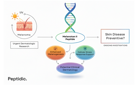 Melanotan II research diagram showing pigmentation, stress response, melanoma context, and dermatology potential.