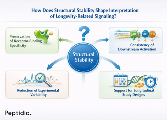Structural stability diagram showing receptor-binding specificity, consistent signaling activation, reduced variability, and support for longevity research studies.