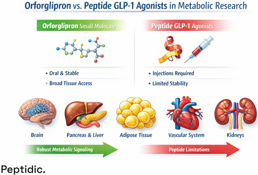 Infographic illustrating Orforglipron versus peptide GLP-1 agonists, highlighting oral small-molecule signaling with broad multi-tissue access compared to injection-dependent peptide limitations.