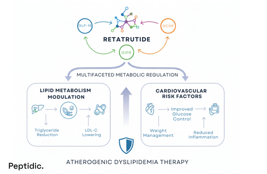 Diagram showing Retatrutide’s multi-receptor actions improving lipid metabolism and cardiovascular health.