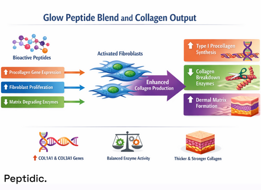 Can Glow Peptide Blend Enhance Collagen Production Based on Experimental Findings?