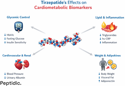 Tirzepatide effects on cardiometabolic biomarkers including HbA1c, triglycerides, inflammation, blood pressure, and weight loss via GIP and GLP-1 activation.