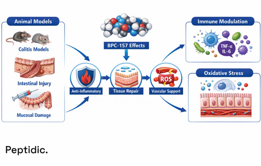 How Does BPC-157 Affect Inflammation and Mucosal Healing in Experimental IBD Models?