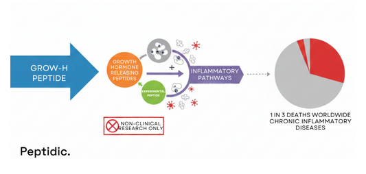 Grow-H peptide interaction with inflammatory pathways; non-clinical research link to chronic disease statistics.